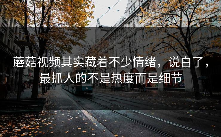 蘑菇视频其实藏着不少情绪，说白了，最抓人的不是热度而是细节