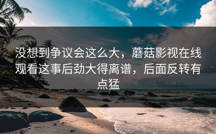 没想到争议会这么大，蘑菇影视在线观看这事后劲大得离谱，后面反转有点猛