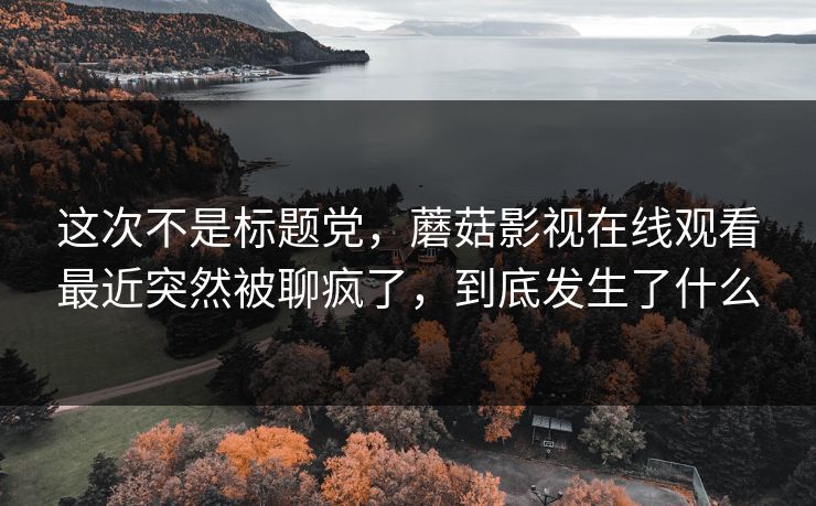 这次不是标题党，蘑菇影视在线观看最近突然被聊疯了，到底发生了什么