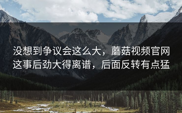没想到争议会这么大，蘑菇视频官网这事后劲大得离谱，后面反转有点猛