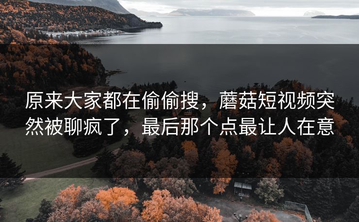 原来大家都在偷偷搜，蘑菇短视频突然被聊疯了，最后那个点最让人在意