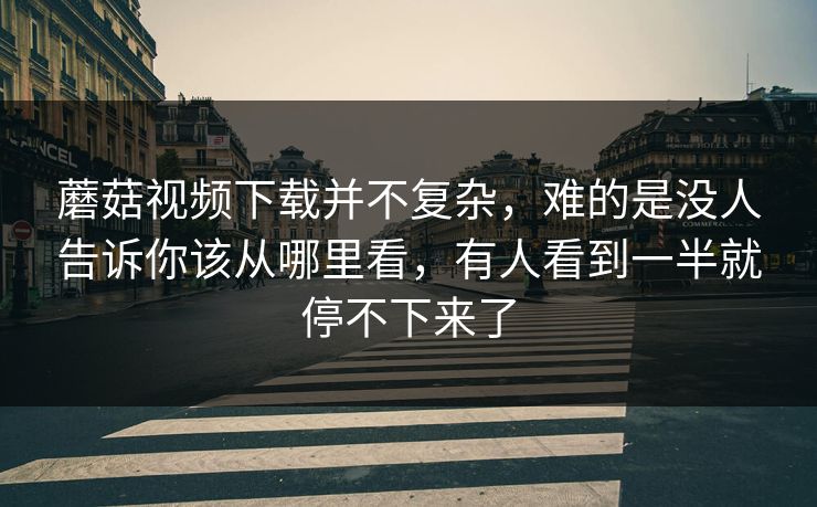 蘑菇视频下载并不复杂，难的是没人告诉你该从哪里看，有人看到一半就停不下来了