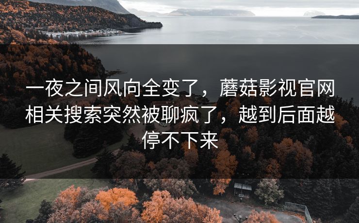 一夜之间风向全变了，蘑菇影视官网相关搜索突然被聊疯了，越到后面越停不下来