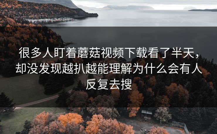很多人盯着蘑菇视频下载看了半天，却没发现越扒越能理解为什么会有人反复去搜