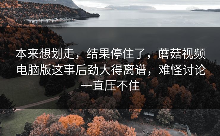 本来想划走，结果停住了，蘑菇视频电脑版这事后劲大得离谱，难怪讨论一直压不住