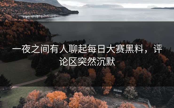 一夜之间有人聊起每日大赛黑料，评论区突然沉默