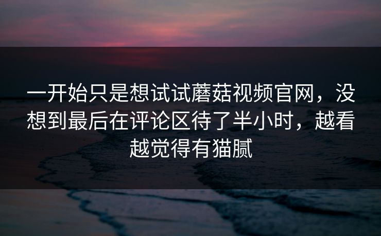 一开始只是想试试蘑菇视频官网，没想到最后在评论区待了半小时，越看越觉得有猫腻